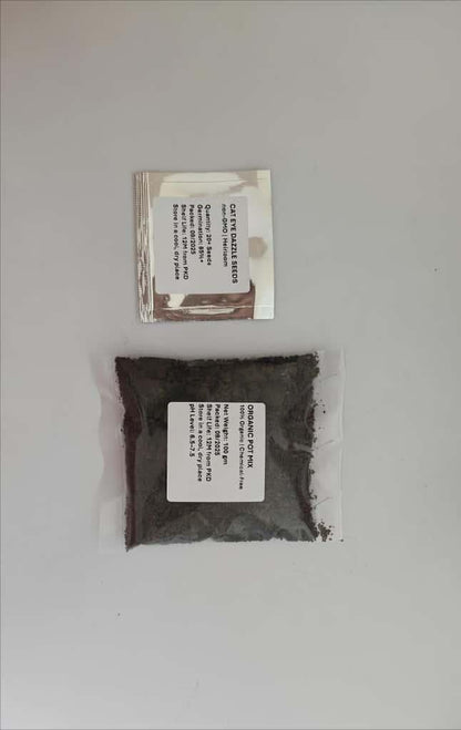 Cat Eye Dazzle Seeds and Free Organic Pot Mix 100 Grams