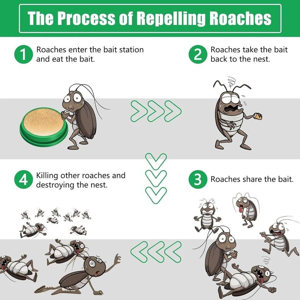 Natural & Eco-Friendly Powerful Cockroach Bait (Buy 1 Get 1 Free)