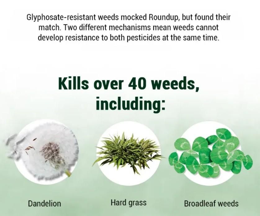 Cvreoz® 2 in 1 Max Power Glufosinate | All Crops (BUY 1 GET 1 FREE)