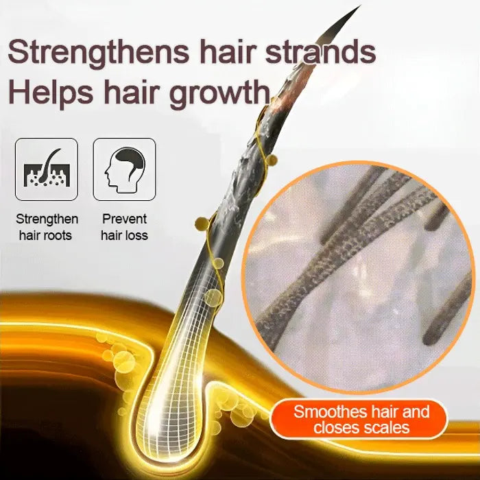 Ginger Plant Extract Anti-Hair Loss Hair Shampoo (PACK OF 3)👈