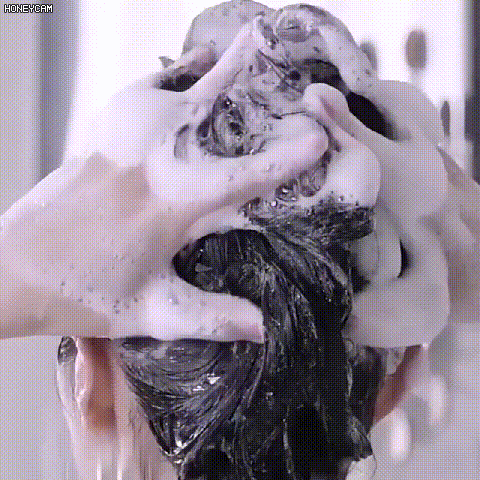 Ginger Plant Extract Anti-Hair Loss Hair Shampoo (PACK OF 3)