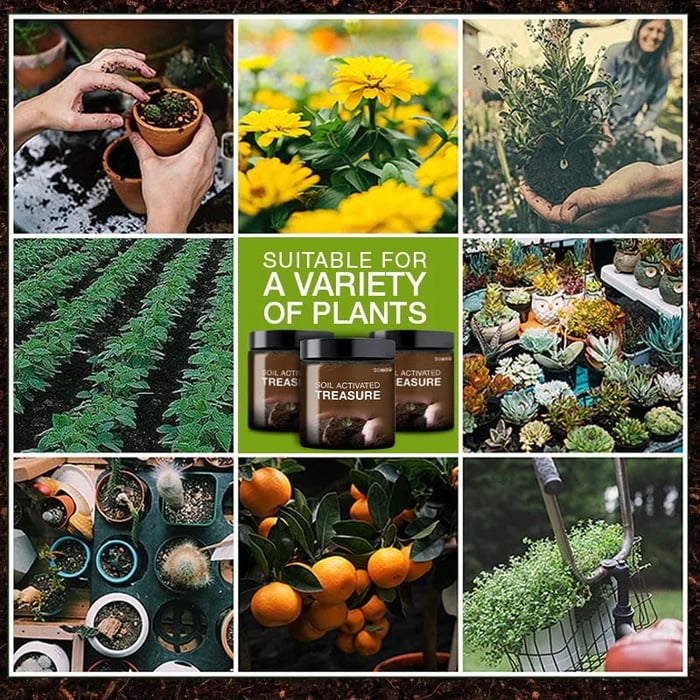 Soil Activator - Plant's Best Friend (BUY 1 GET 1 FREE)