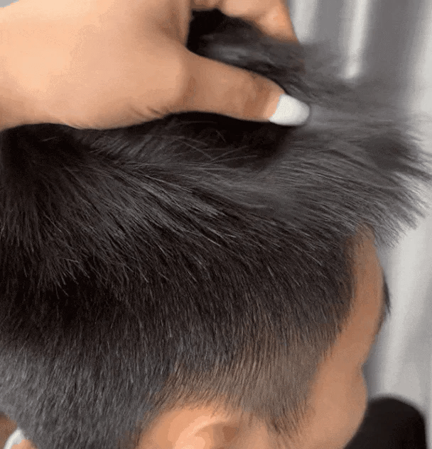 Ginger Plant Extract Anti-Hair Loss Hair Shampoo (PACK OF 3)